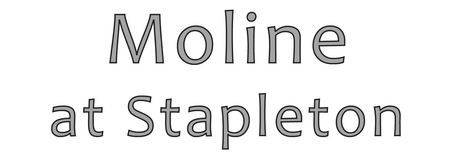 Moline at Stapleton Apartments in Denver, CO